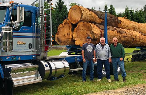 Log companies near me - May 18, 2018 · An experienced log home professional knows how to maintain and repair logs, helping log home owners keep their homes looking good, and their costs down, for the long term. #3 Meet them in person. When you hire a log home contractor for anything beyond routine maintenance, it’s likely they will visit your site in person to prepare their bid. 